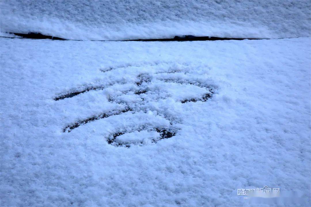 哈尔滨|黑龙江省多地迎来第一场雪！强冷空气来袭，大部地区最高气温10℃以下