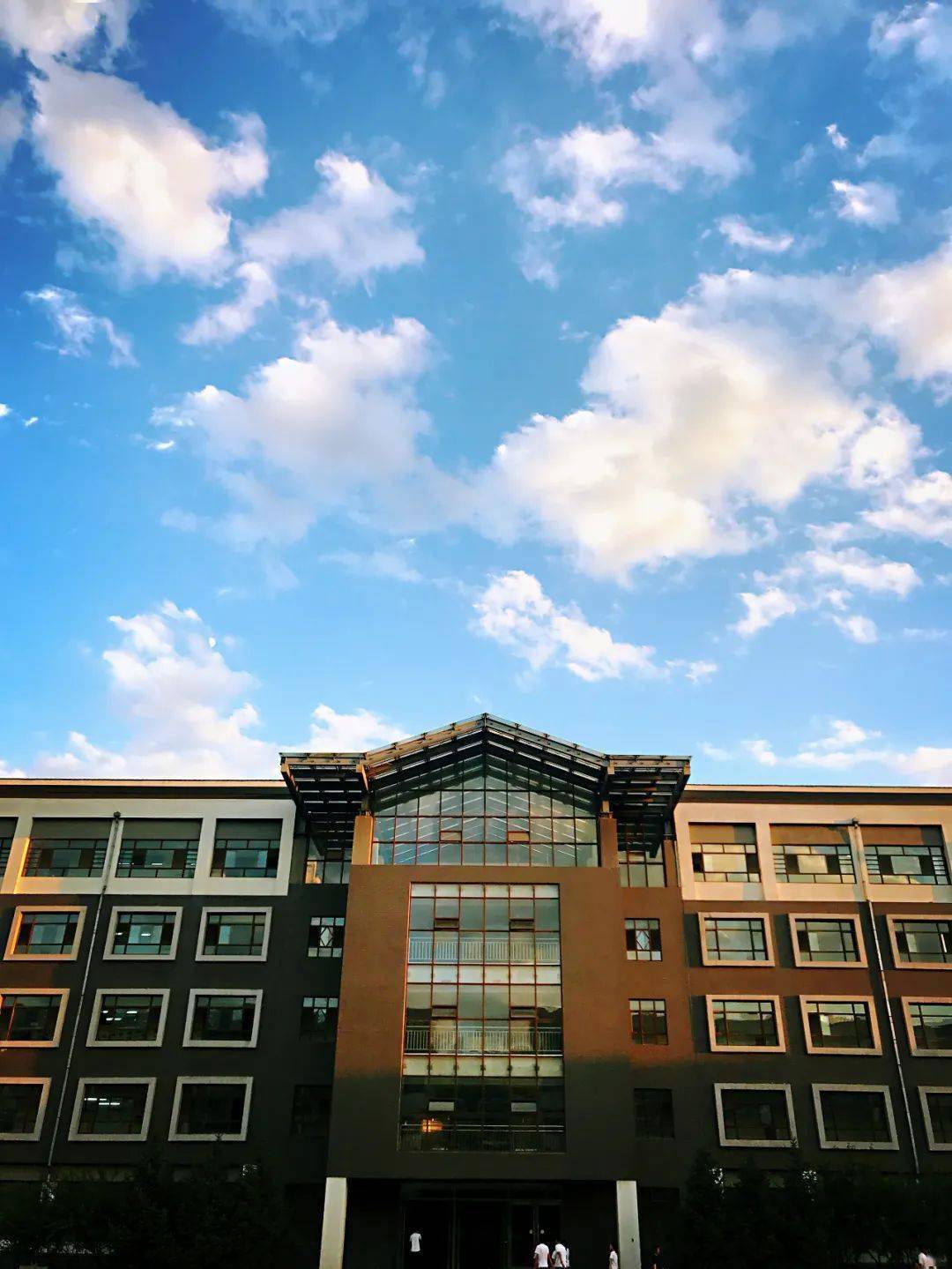 大同一中教师招聘公告