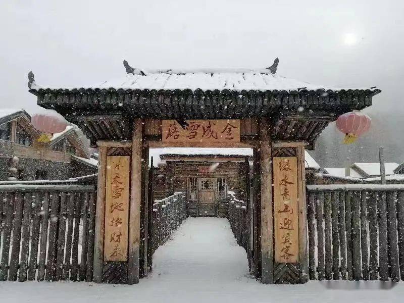 哈尔滨|黑龙江省多地迎来第一场雪！强冷空气来袭，大部地区最高气温10℃以下