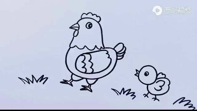 简笔画鸡妈妈和鸡宝宝