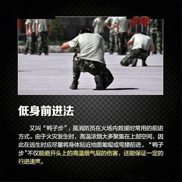 6cd8514c0de6468d8b59adf8f838e64e.jpeg