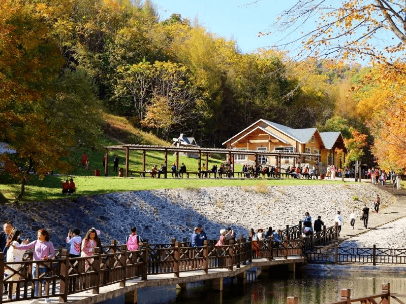 枫姿正好共赴一场云岭之约