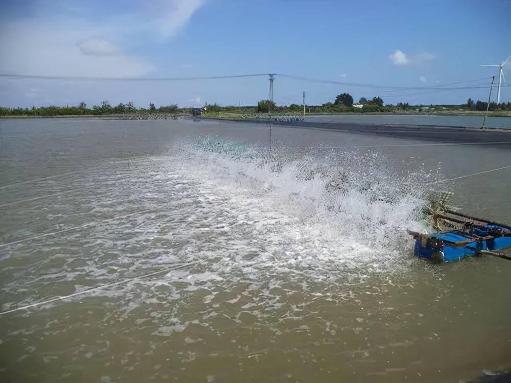 不改好底怎么养好鱼鱼塘最实用的几种改底方法