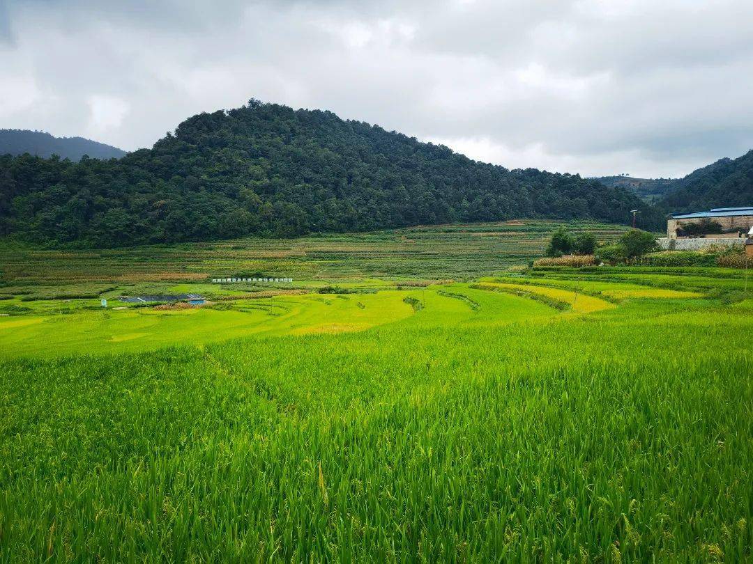 美图!不同"角度"看砚山七彩蚌峨