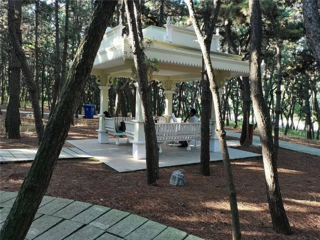 威海市区一处隐匿于林海的公园!守护着「海与火炬八街」