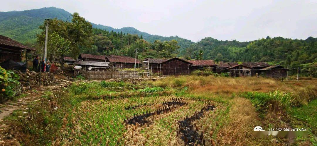 对于司前棋子坑,我虽然没到过,但也略有耳闻:光泽县司前乡庭燎村棋子