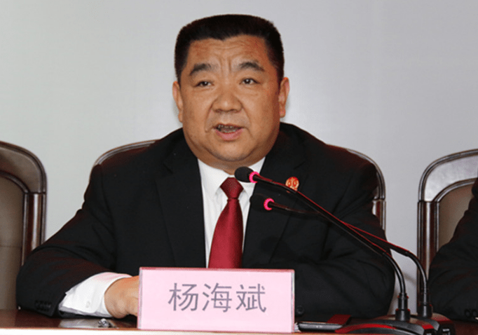 情况,就诉讼服务质效推进工作进行了安排部署,杨海斌做了《直面问题