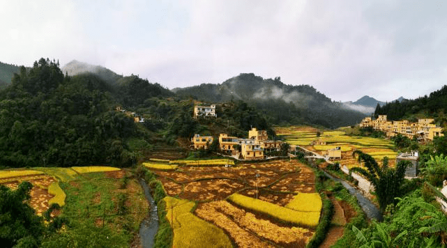 乡游黔中册亨县高峰村│风吹麦田千层浪美丽乡村入画来