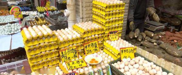 口感|“土鸡蛋”真的比“洋鸡蛋”好吗？答案是......