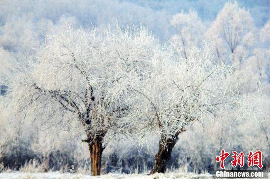 首场|内蒙古额尔古纳迎来今年首场雾凇景观