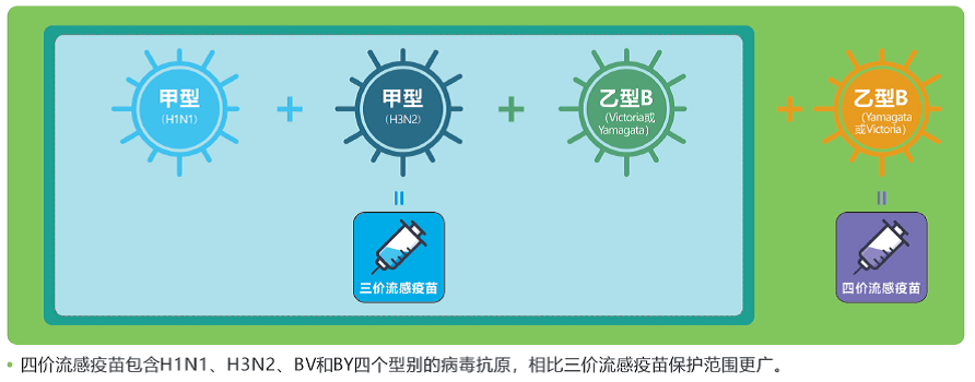 上海流感疫苗_b型流感嗜血杆菌结合疫苗_流感裂解疫苗不良反应