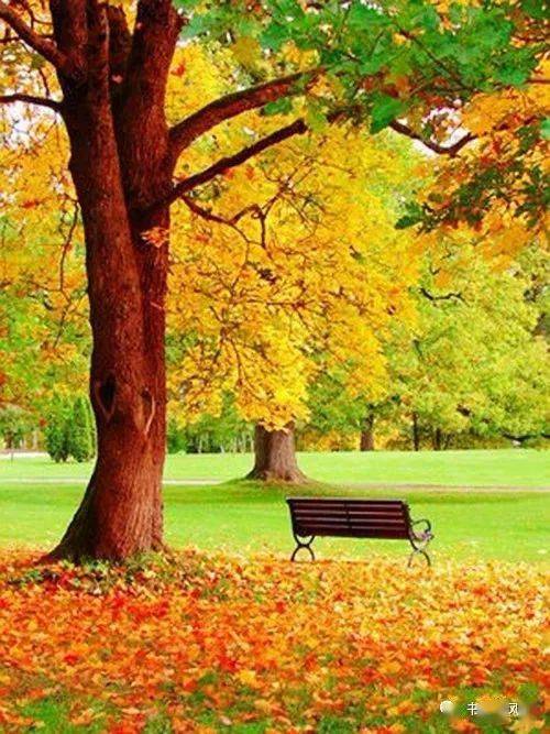风景|秋意浓，道一声珍重