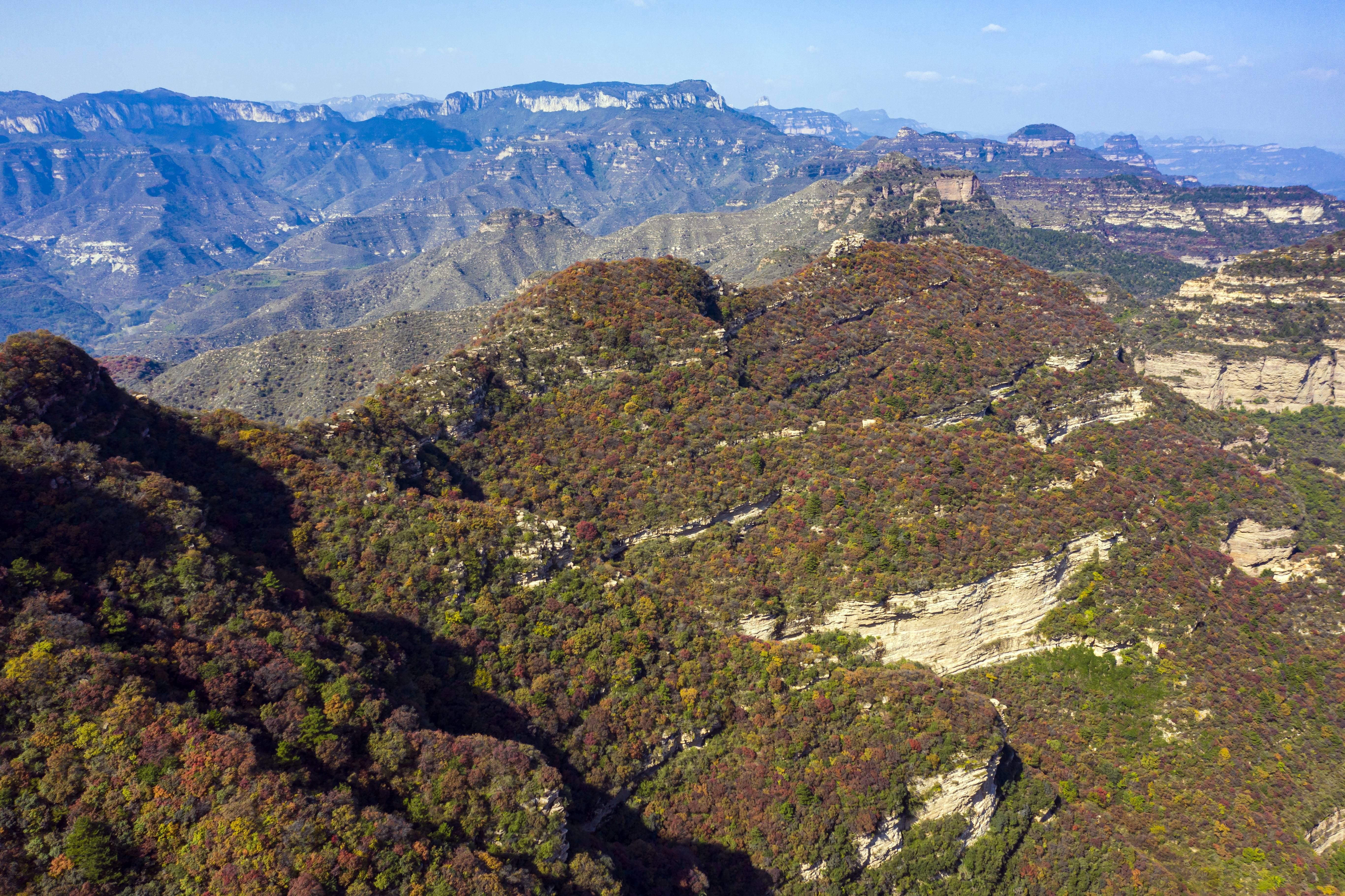 河北午安图片