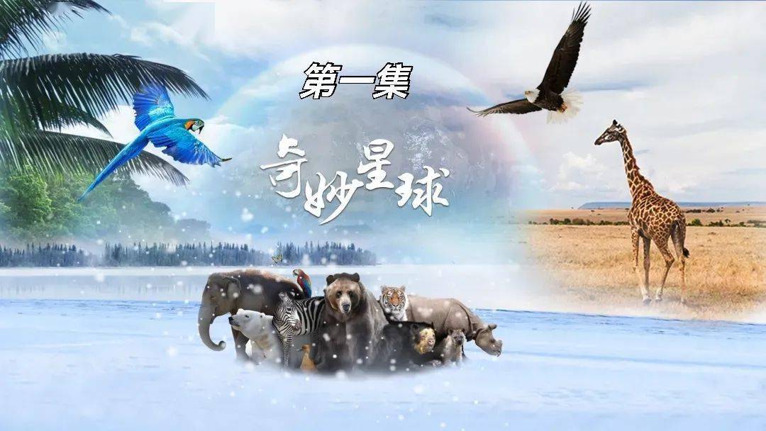 科学电影课|《奇妙星球》从自然奇观中了解地球生命驱动力(第一集)|10