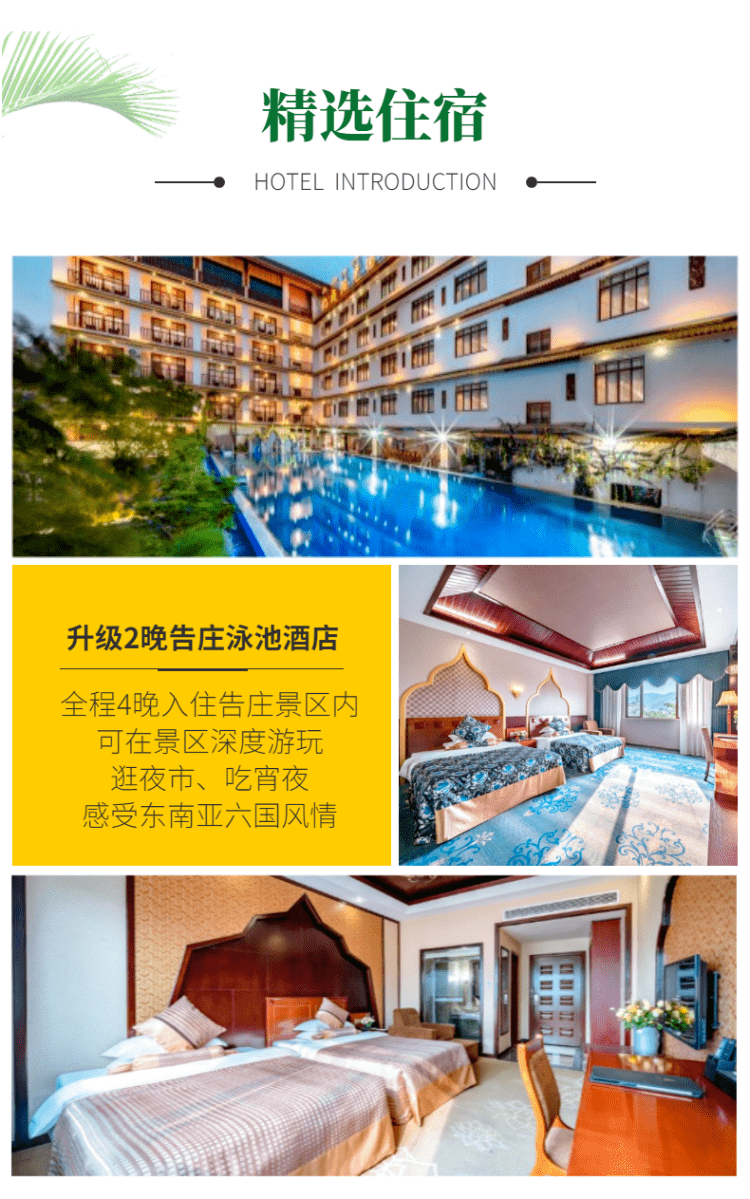 云南西双版纳徒步:2021年12月18日-23日,西双版纳原始热带雨林徒步