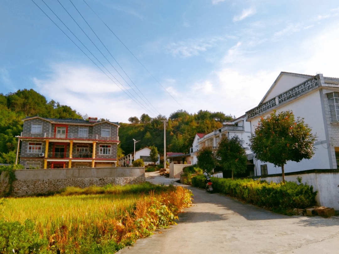 【美丽庭院创建进行时】汤泉乡:庭院,让生活更美好(十一)