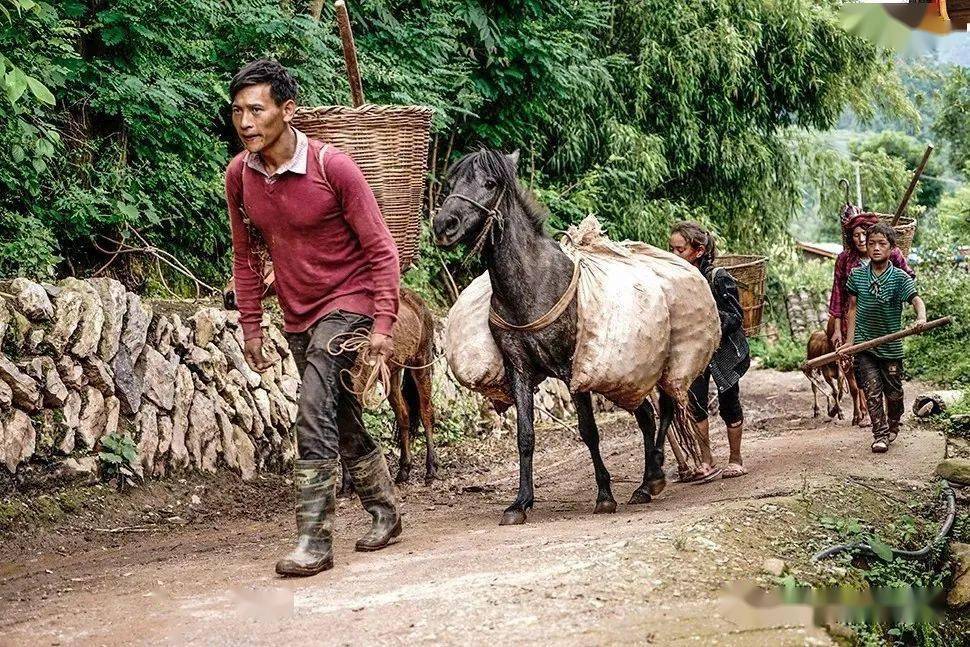 【大凉山 增发团】大凉山彝族新年,扶贫小火车,传统酿酒坊人文民俗