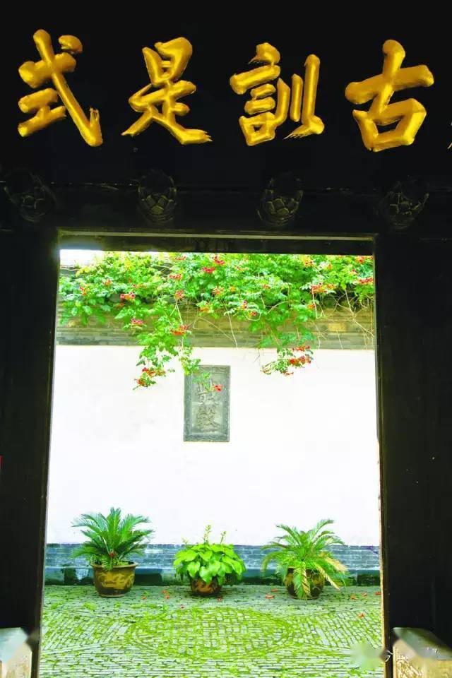 王氏纪念馆一代宗师隐深庭