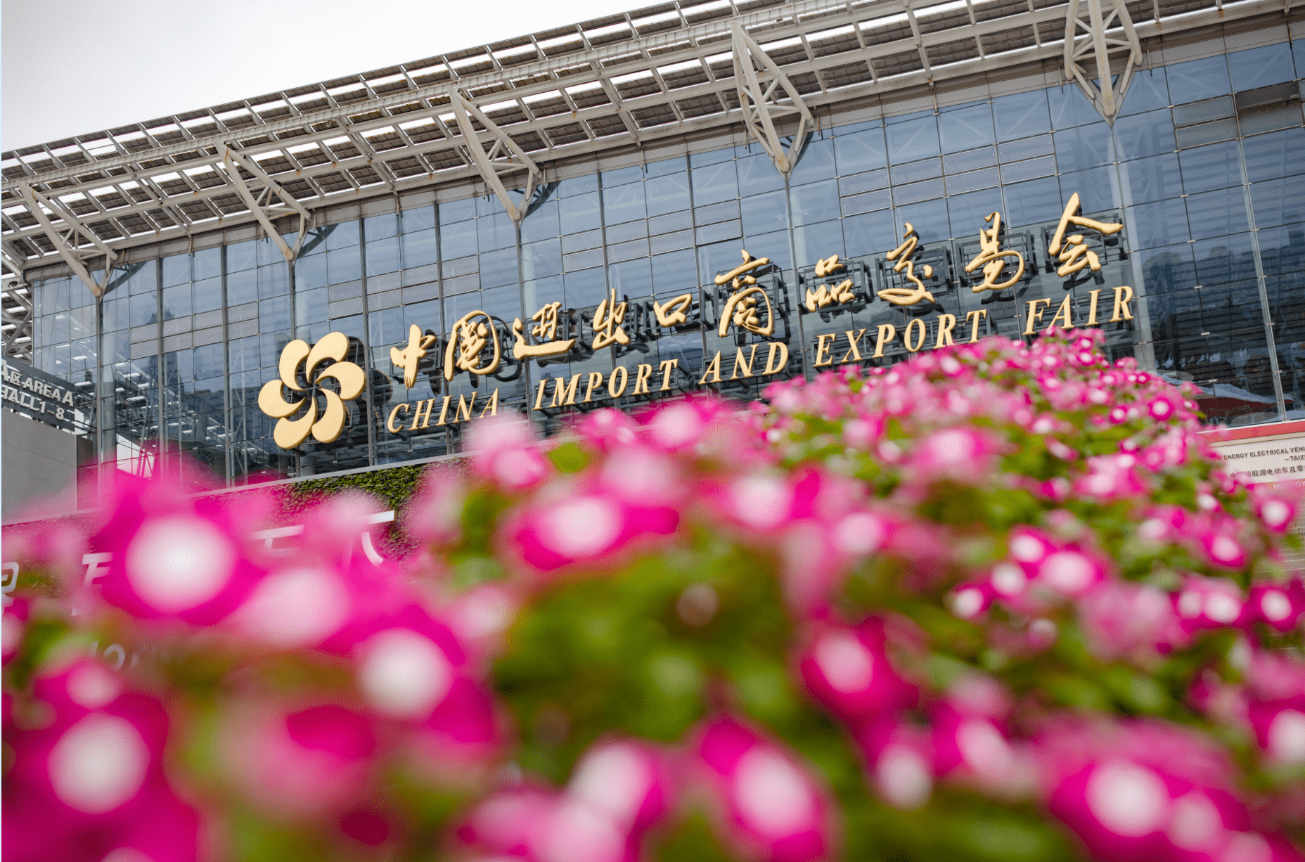 走读广交会⑥ | 土味好农品,走入大世界_沙棘