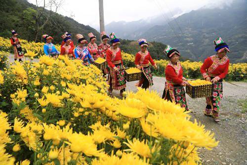 茂县土门镇gdp_冬闲变冬忙 茂县土门掀起人畜饮水管道建设热潮