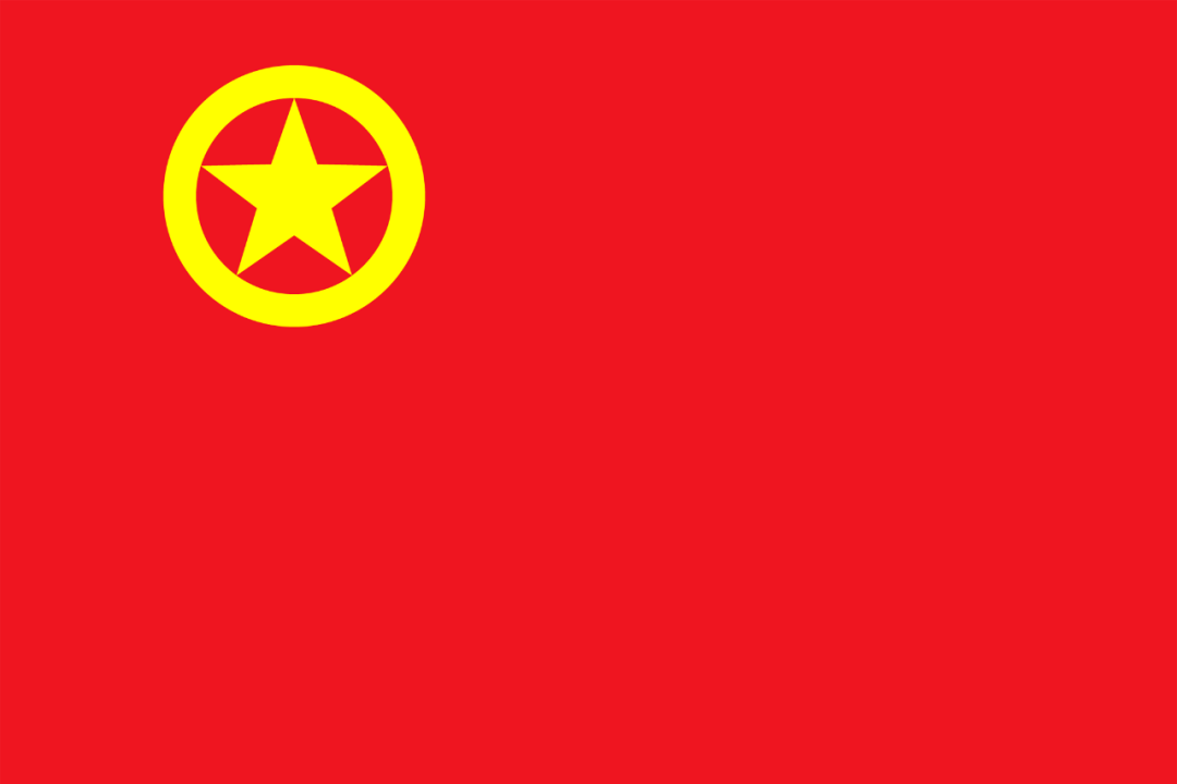 注意规范使用中国共产主义青年团团旗团徽