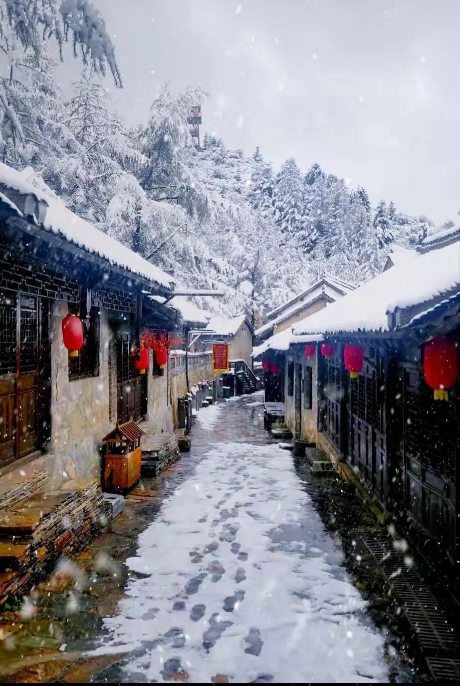 下雪啦洛阳这里迎来初雪一夜变成童话世界