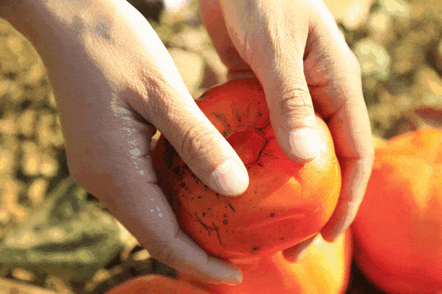 640_427gif 动态图 动图