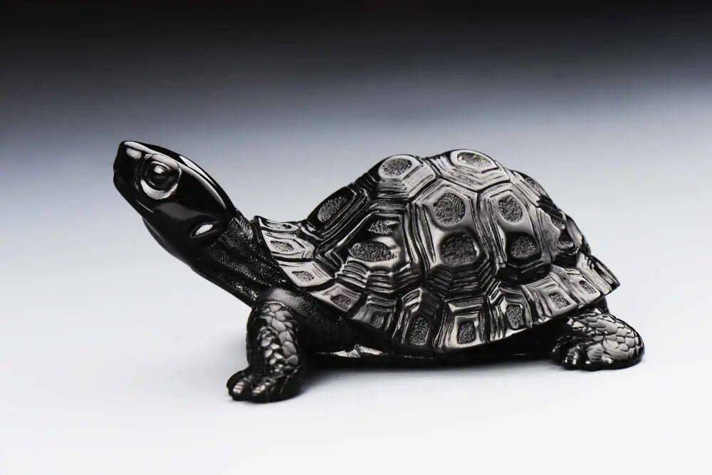 同时,根据《述异记》的记载:"龟一千年生毛,寿五千岁谓之神龟,寿一