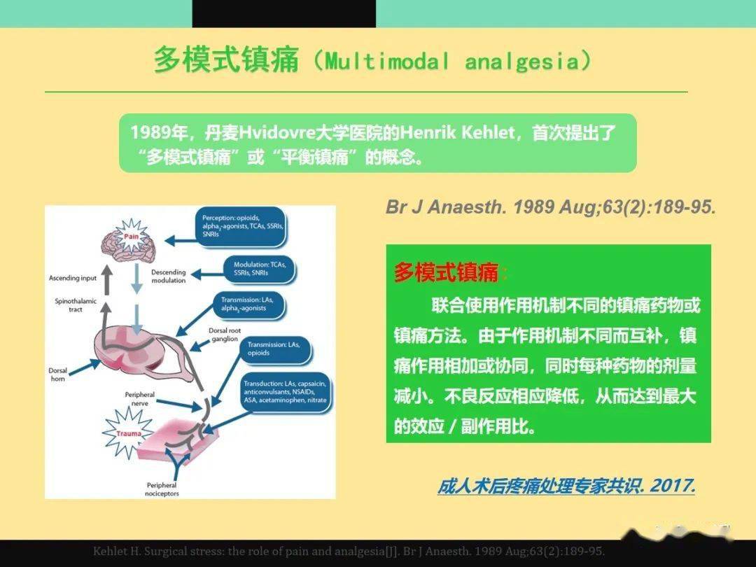 围术期多模式镇痛(ppt课件)