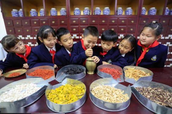 中药房|体验中医文化 迎接“世界传统医药日”