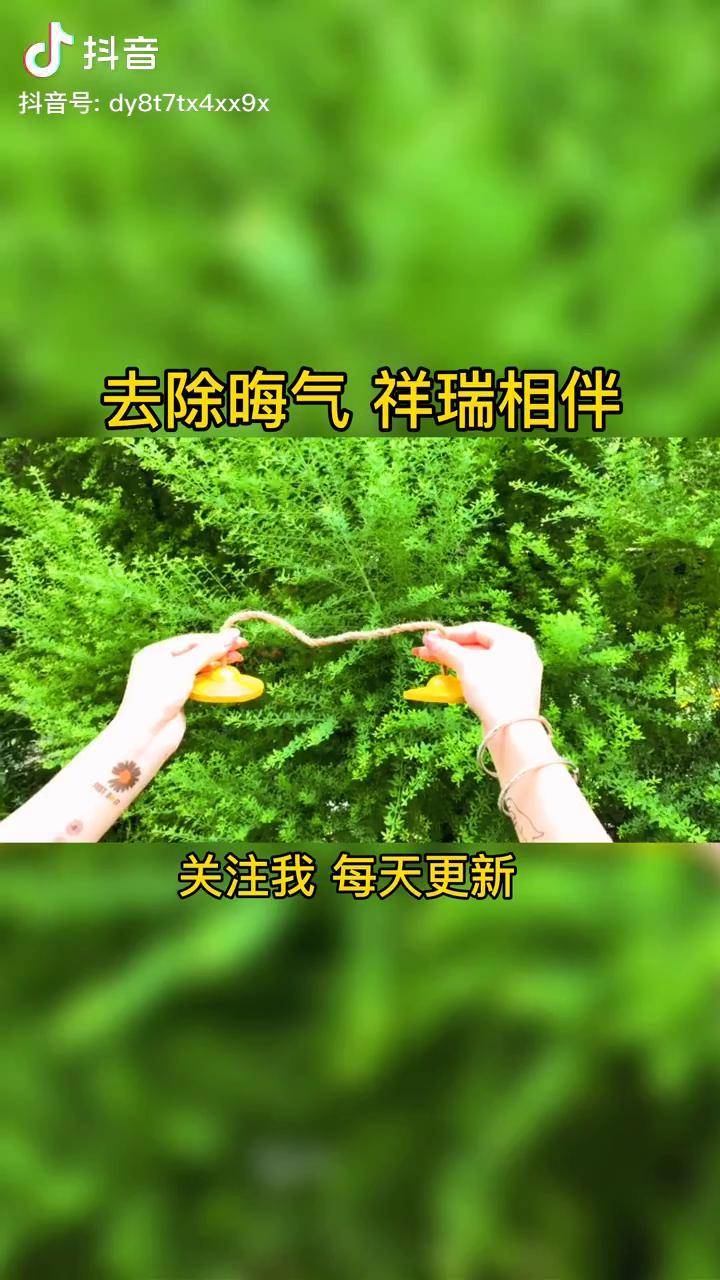 去除晦气祥瑞相伴阿尔法脑波音乐dou小助手