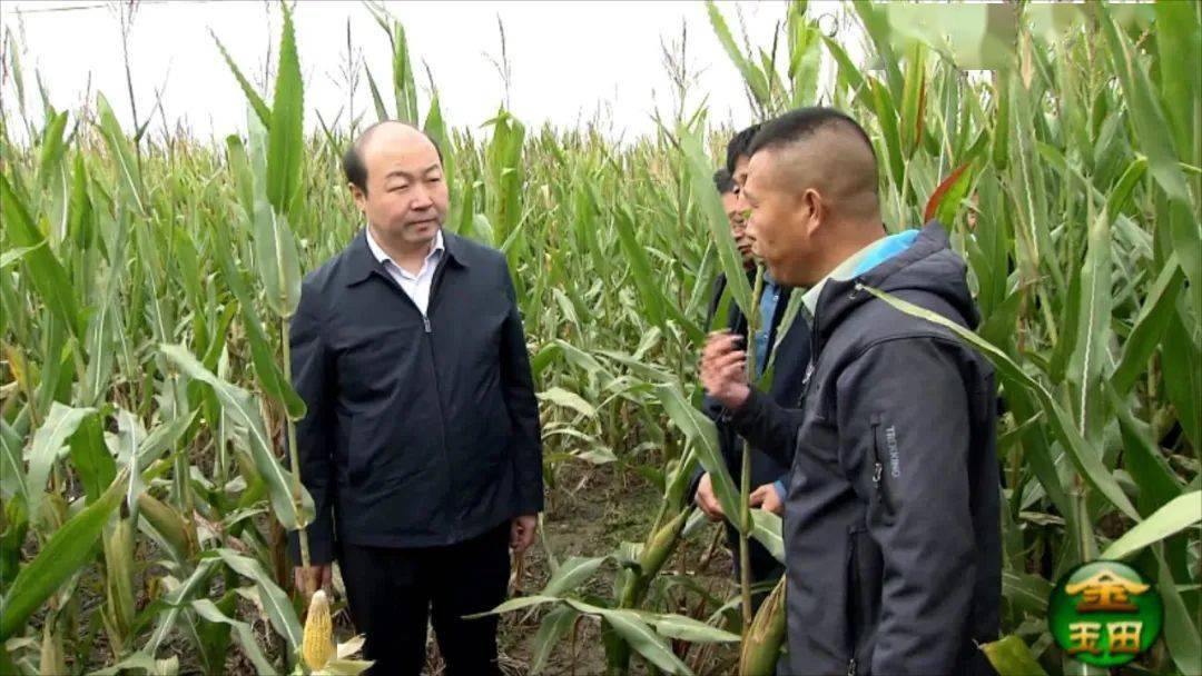 金玉田玉田县委书记田军威就秋收秋种工作进行现场办公