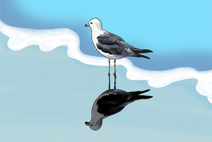 影子也有重量吗？