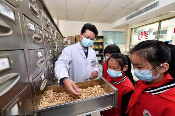 中药房|体验中医文化 迎接“世界传统医药日”
