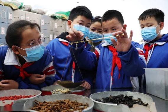 中药房|体验中医文化 迎接“世界传统医药日”
