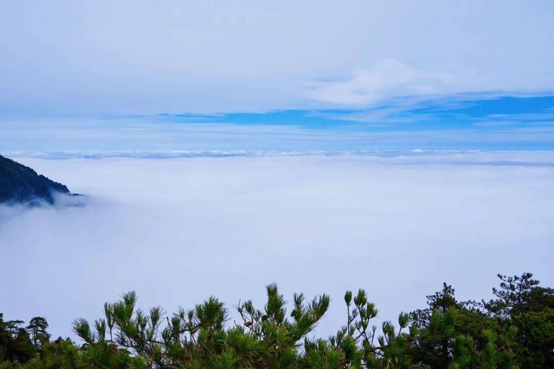 在這裡能看到最壯闊的雲海明月山景區青雲棧道的觀景平臺視頻拍攝地位