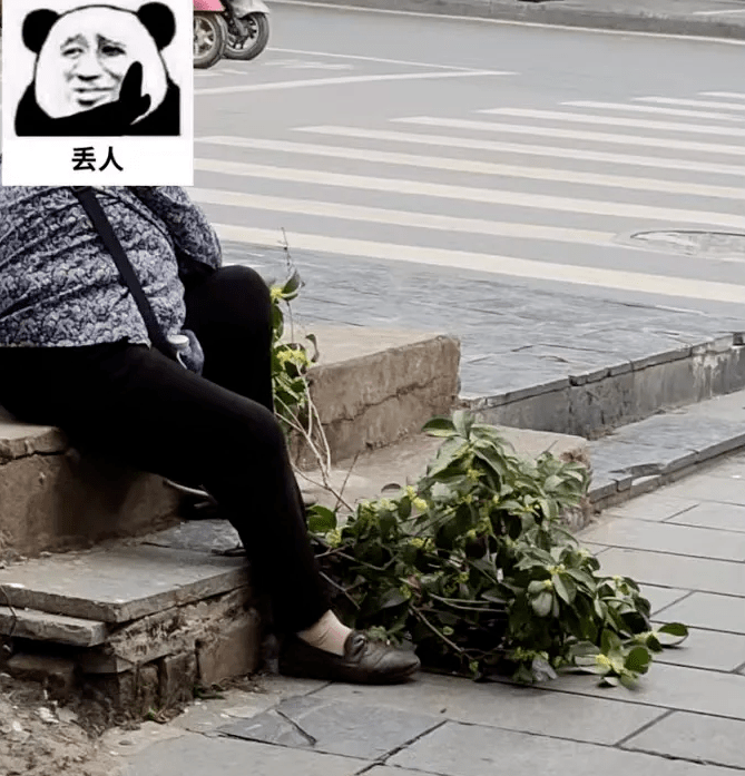 整个桂林的素质都被这种人拉低了!劝你们早日收手!