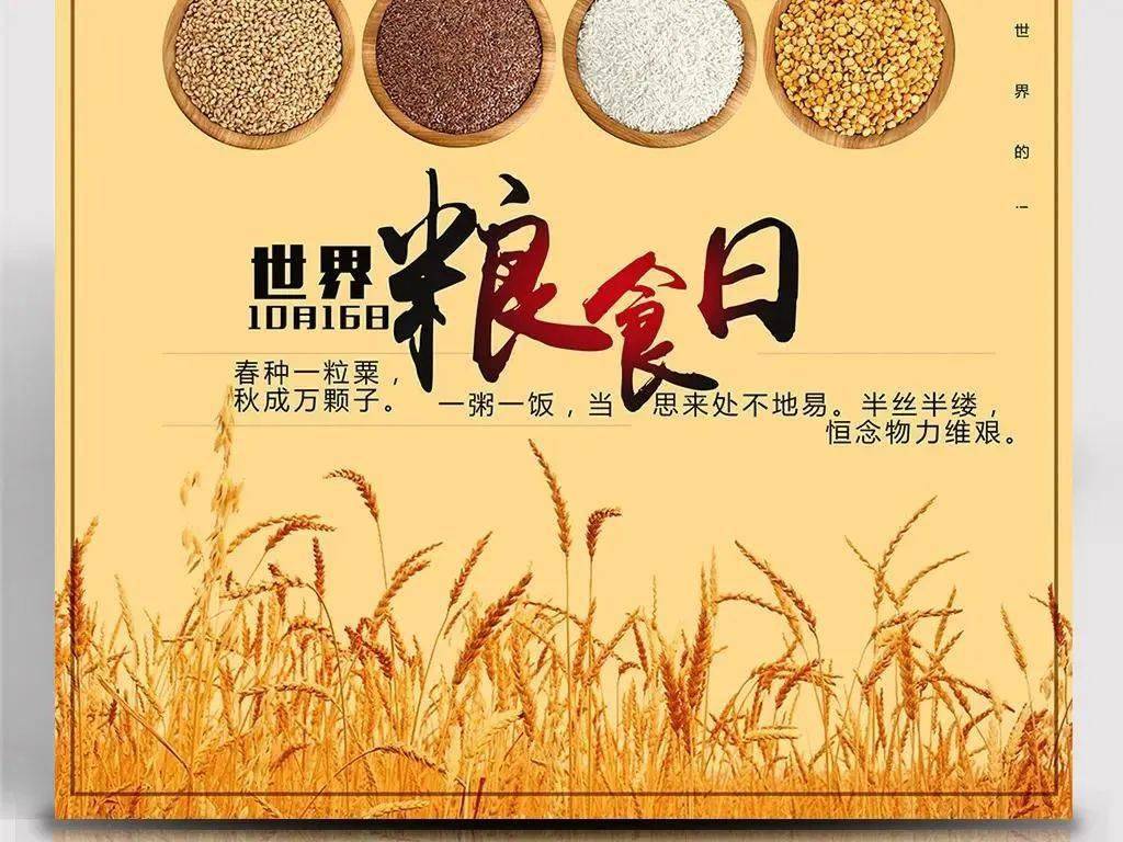 世界粮食日,我们来"袁梦"_水稻