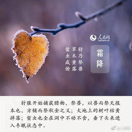 谚语|今日霜降，大人、孩子多吃这些蔬菜，对身体最好