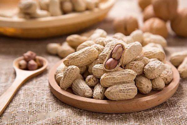 白萝卜|今日霜降 | 你不知道的养生秘诀！