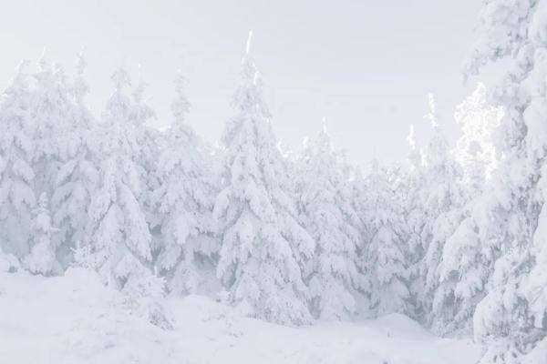 一身正气|霜降节气，风湿病患者的养生策略