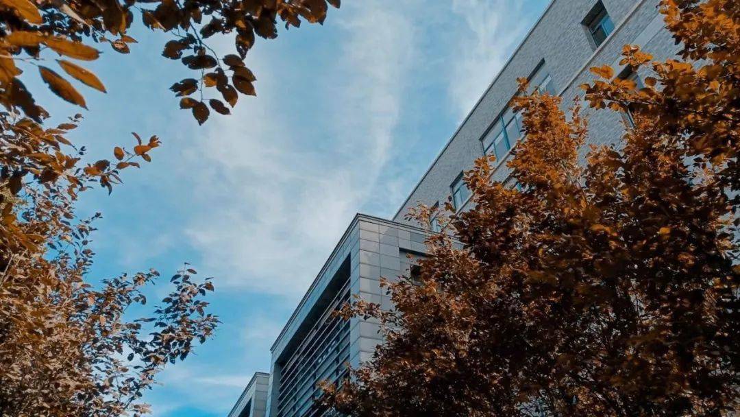 本作品版权归大学生通讯社所有未经授权 请勿转载到任何平台欢迎转发