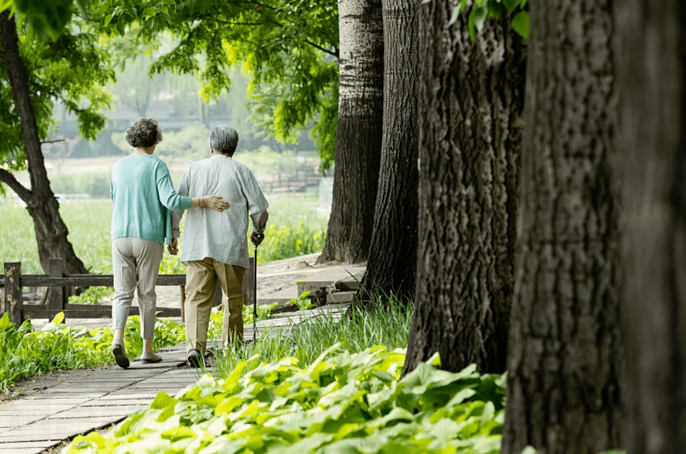 岑杰|回暖别忘消食！周末吃多了，善后汤来也！