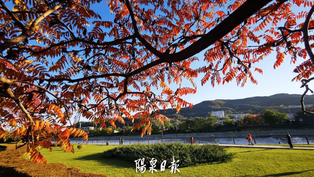 版权|惊艳！快，抓住秋天的尾巴，再赏一回家门口的秋日美景