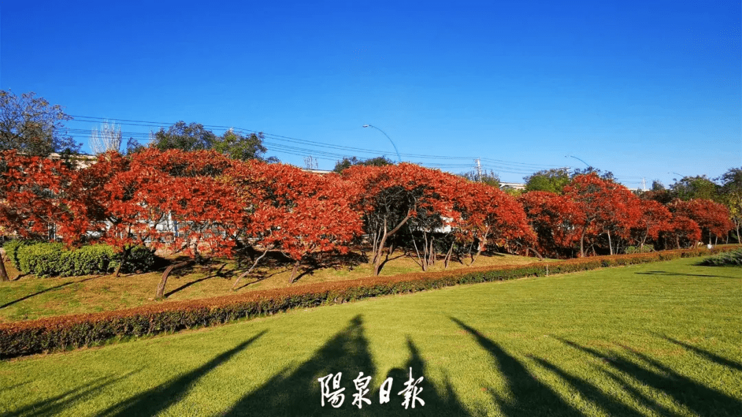 版权|惊艳！快，抓住秋天的尾巴，再赏一回家门口的秋日美景