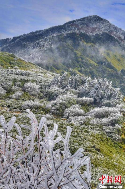 生物|湖北神农架：半山秋色半山凇