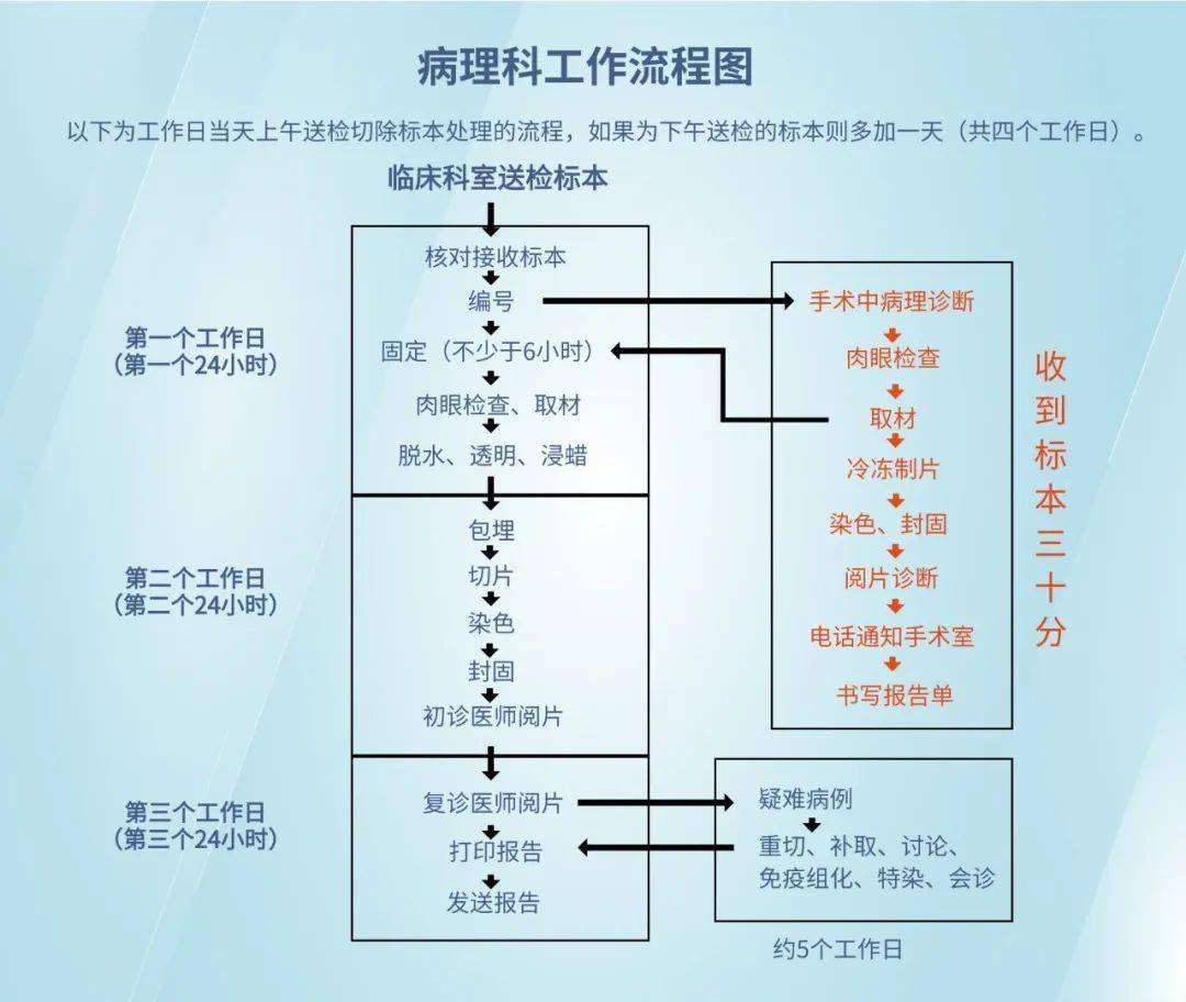 病理科在医疗过程中主要承担病理诊断工作,通过活体组织检查,细胞学