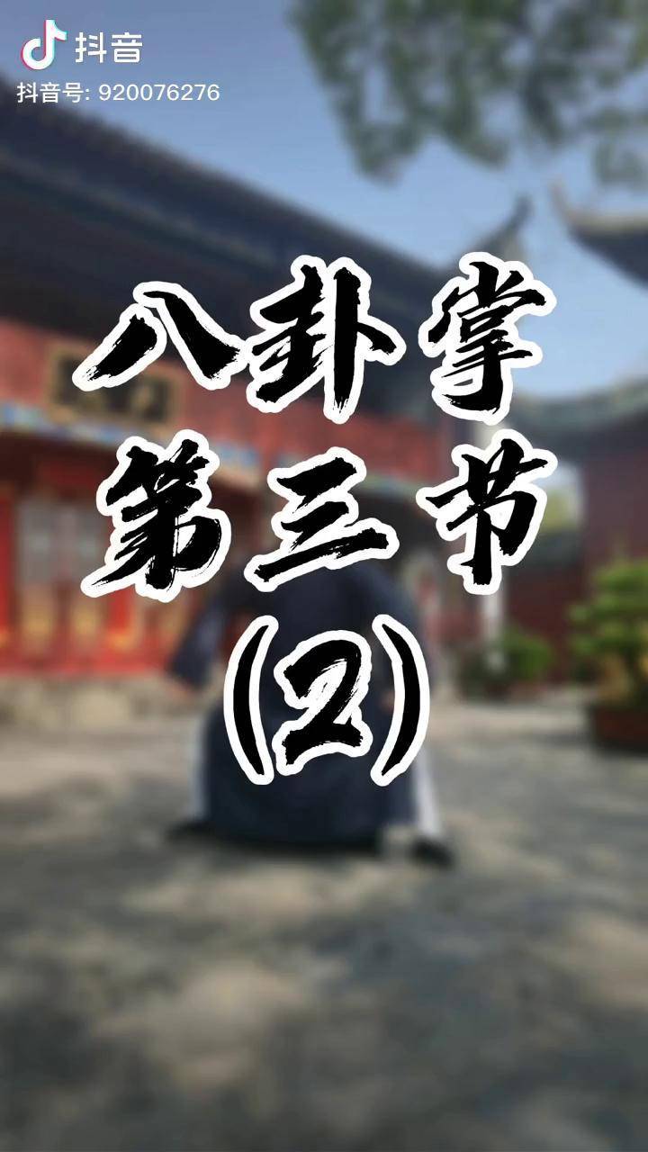 八卦掌第三掌分解動作八卦掌傳統武術教學dou小助手