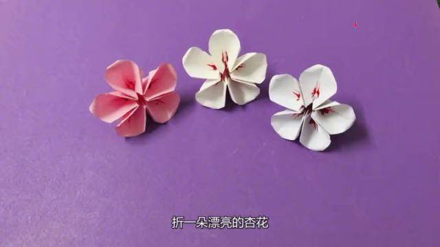 春天来了折朵漂亮的杏花迎接春天的脚步手工折纸视频教程