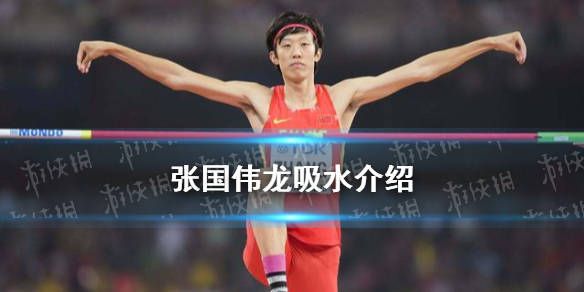 张国伟龙吸水是什么意思张国伟龙吸水介绍